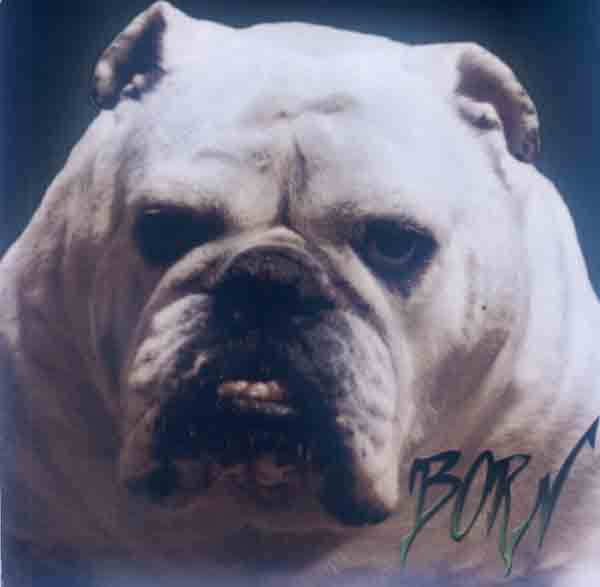 Born - My Wasted Time (Front Cover) | Click to enlarge